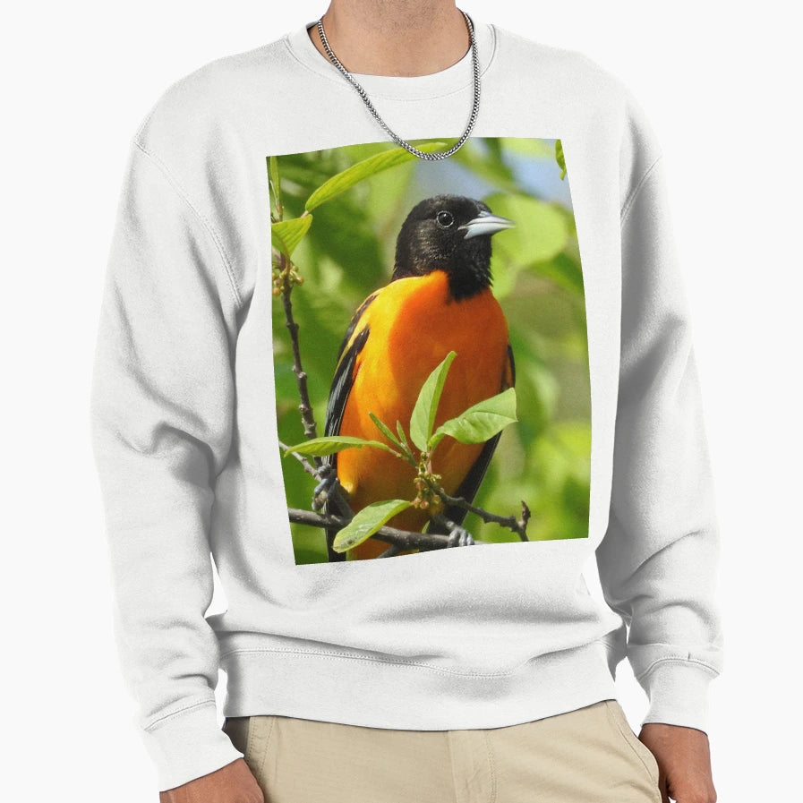 Baltimore Oriole Sweatshirt - Streetwear Style for Adults - T-Shirt, Sweatshirt, Hoodie