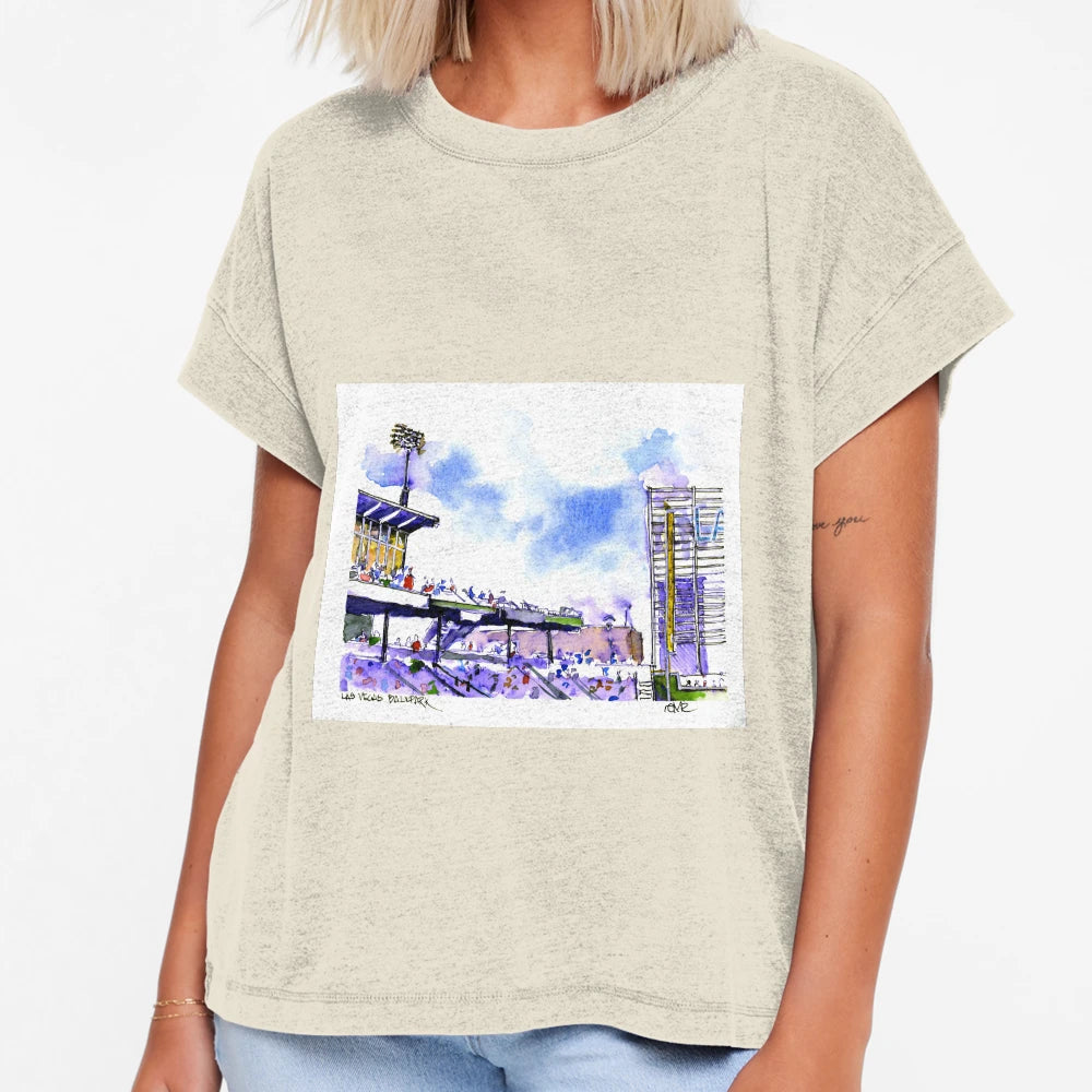 Las Vegas Ballpark T-Shirt - Fun Novelty Design for Adults - T-Shirt, Sweatshirt, Hoodie